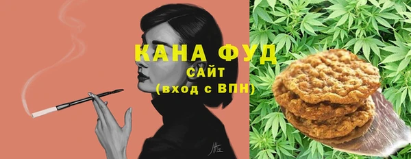стаф Инсар