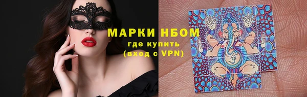 стаф Инсар